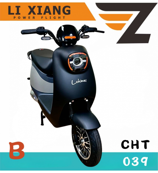 LOKOVEL可愛馬 CHT-039 B